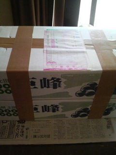 2010091911460000.jpg