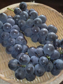 2010091911500000.jpg