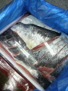 2010120210210000.jpg